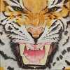 Tiger: Oil on Canvas, 25x25cm